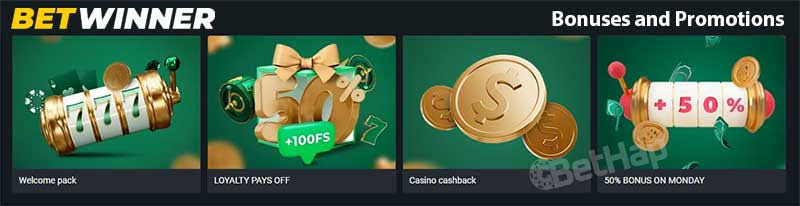 Comprehensive BetWinner Review Features, Benefits, and Insights