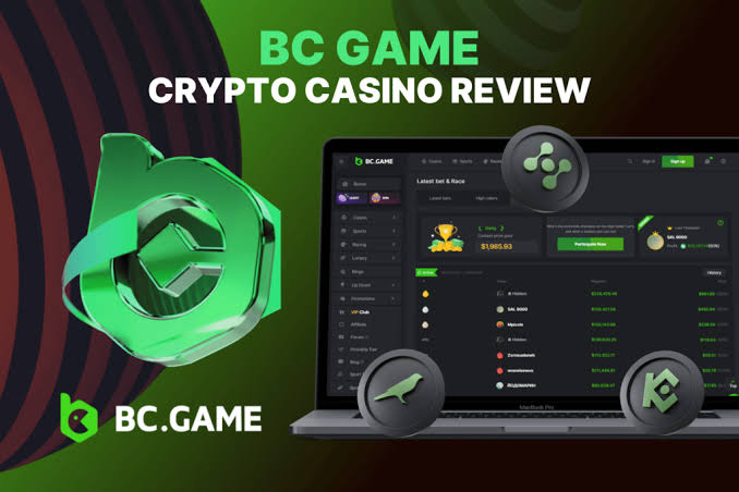 Exploring BC.Game The Rising Trend in Romania